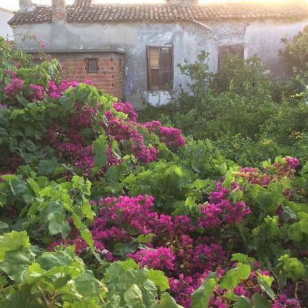 Parmis Rooms Çeşme Zewnętrze zdjęcie